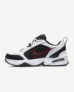 Кроссовки Nike Air Monarch IV 415445-101