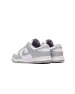 Nike Dunk Low Retro HF5441-105