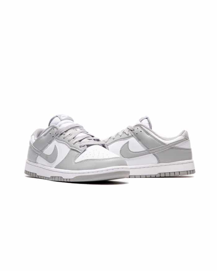 Nike Dunk Low Retro HF5441-105